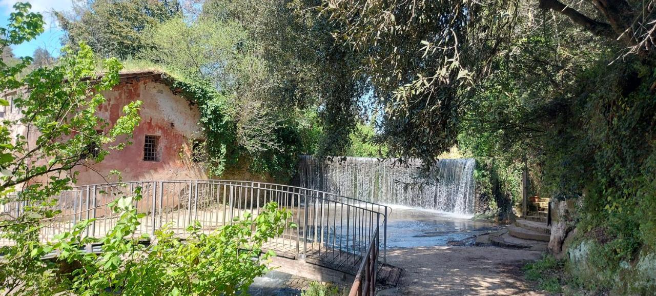 شقة La Casa Di Bambi روما المظهر الخارجي الصورة
